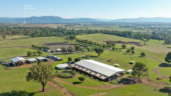 Meadow Bank delivers equine excellent on Tamworth's doorstep | Video