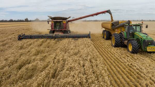 Why even the Middle East conflict has failed to stop a slide in wheat prices