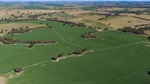 Clearview with fertile soils, production and quality improvements | Photos