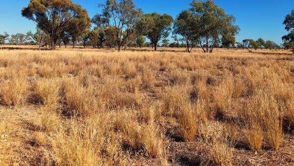 Big rains delay sale of 100,000 acres-plus of quality 'salad bowl' country