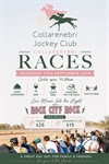 Collarenebri Races