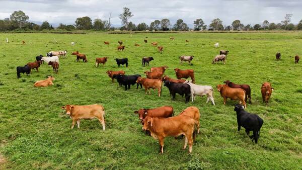 Riverfront Laravale cattle country with quality irrigation water | Photos