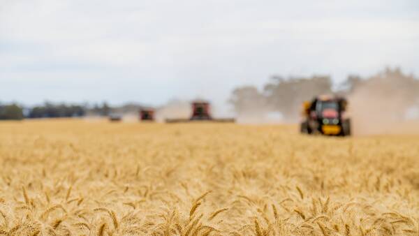 Global grain prices surge, but Australian growers kept waiting for benefits