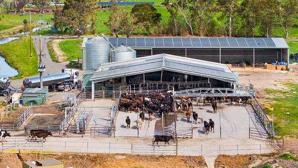 Water-rich Gippsland dairy powerhouse near Maffra sells for $8.6m