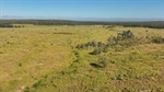 Well located, productive cattle country with potential hits the market