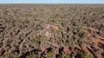 Five property carbon regeneration aggregation capitalises on nature