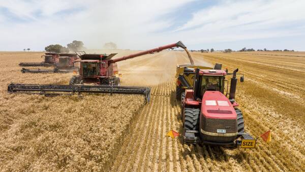 Drone war explained: what Black Sea chaos means for Aussie grain growers
