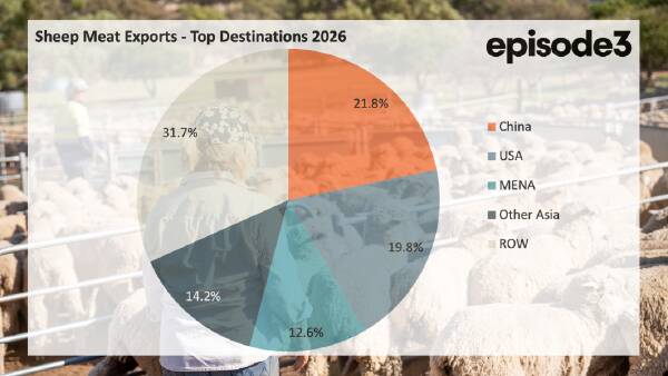 Analysis: sheepmeat exports fall sharply as China demand continues to weaken
