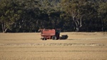 Contractors warn government visa slowdown to hit hard with harvest looming