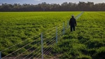 Premium river country featuring rich alluvial and red loam soils | Video