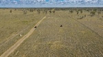 Significant investment in fencing, water, livestock-handling infrastructure