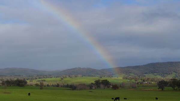 Surprise El Nino year rain helps farmers weather a record input cost storm