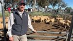 'It's only everything': hot topic affecting sheep production, productivity