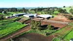 Offers above $50m now sought for prized 3230ha Western District aggregation