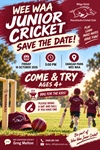 Wee Waa Junior Cricket