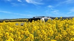 High demand drives new broadacre cropping options to the SA sales market