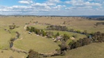 Hillgrove a proven and reliable grazing operation close to the city | Video