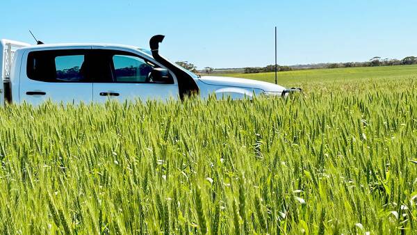 SA farm for sale with 1740 acres of arable land and stock options