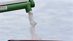 Shipping turmoil, grain rally stir global fert costs as local stocks dry up
