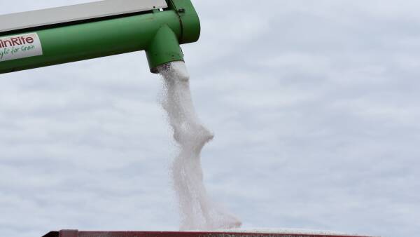 Shipping turmoil, grain rally stir global fert costs as local stocks dry up