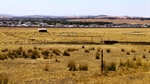 Sydney vs Melbourne: showdown over multimillion-dollar cattle farms