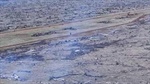 Cattle station handed first-ever order to stop land clearing under EPBC reforms