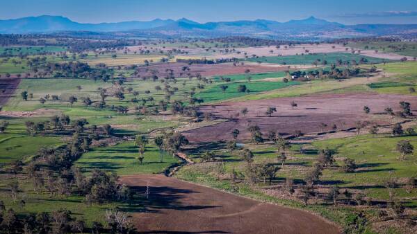 Red hot property auction shows blue ribbon cattle country is in demand | Video